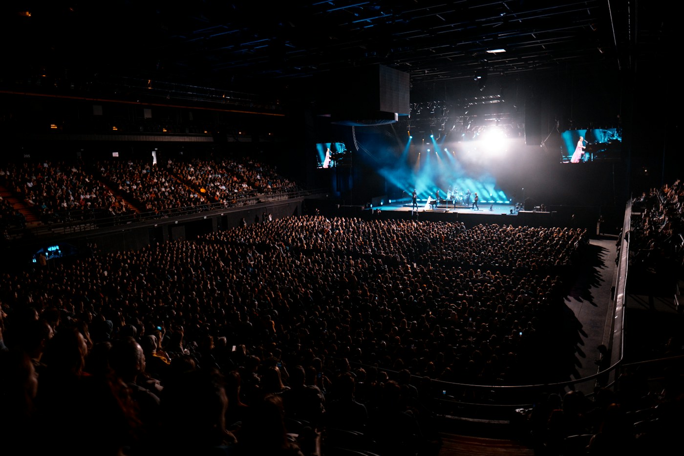 Audience at a live concert